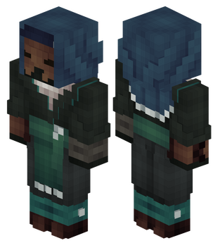 Disguise Skin